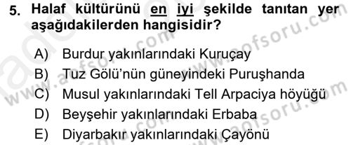 Eski Mezopotamya ve Mısır Tarihi Dersi 2015 - 2016 Yılı (Vize) Ara Sınav Soruları 5. Soru