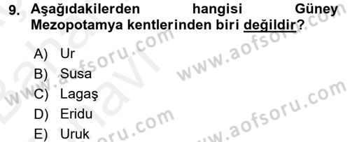 Eski Mezopotamya ve Mısır Tarihi Dersi 2015 - 2016 Yılı (Vize) Ara Sınav Soruları 9. Soru