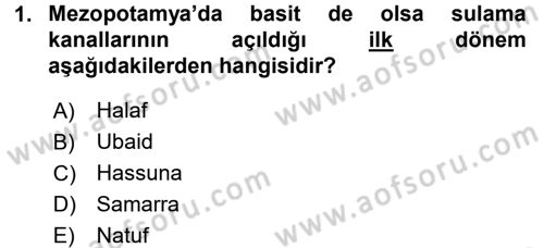 Eski Mezopotamya ve Mısır Tarihi Dersi 2015 - 2016 Yılı (Final) Dönem Sonu Sınav Soruları 1. Soru
