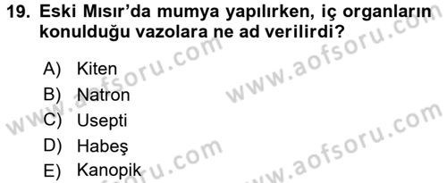 Eski Mezopotamya ve Mısır Tarihi Dersi 2015 - 2016 Yılı (Final) Dönem Sonu Sınav Soruları 19. Soru