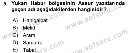Eski Mezopotamya ve Mısır Tarihi Dersi 2015 - 2016 Yılı (Final) Dönem Sonu Sınav Soruları 5. Soru