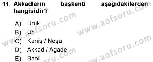 Eski Mezopotamya ve Mısır Tarihi Dersi 2016 - 2017 Yılı (Vize) Ara Sınav Soruları 11. Soru