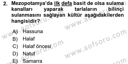 Eski Mezopotamya ve Mısır Tarihi Dersi 2016 - 2017 Yılı (Vize) Ara Sınav Soruları 2. Soru