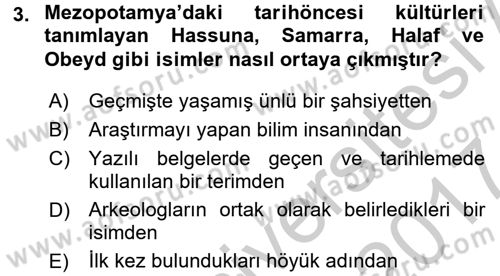 Eski Mezopotamya ve Mısır Tarihi Dersi 2016 - 2017 Yılı (Vize) Ara Sınav Soruları 3. Soru