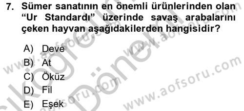 Eski Mezopotamya ve Mısır Tarihi Dersi 2016 - 2017 Yılı (Vize) Ara Sınav Soruları 7. Soru