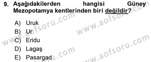 Eski Mezopotamya ve Mısır Tarihi Dersi 2016 - 2017 Yılı (Vize) Ara Sınav Soruları 9. Soru