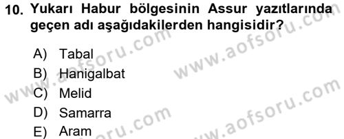 Eski Mezopotamya ve Mısır Tarihi Dersi 2016 - 2017 Yılı (Final) Dönem Sonu Sınav Soruları 10. Soru