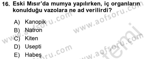Eski Mezopotamya ve Mısır Tarihi Dersi 2016 - 2017 Yılı (Final) Dönem Sonu Sınav Soruları 16. Soru