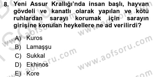 Eski Mezopotamya ve Mısır Tarihi Dersi 2016 - 2017 Yılı (Final) Dönem Sonu Sınav Soruları 8. Soru