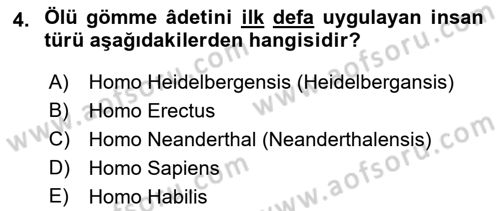 Eski Mezopotamya ve Mısır Tarihi Dersi 2017 - 2018 Yılı (Vize) Ara Sınavı 4. Soru