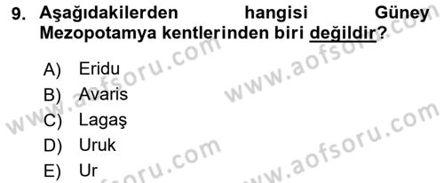 Eski Mezopotamya ve Mısır Tarihi Dersi 2017 - 2018 Yılı (Vize) Ara Sınav Soruları 9. Soru