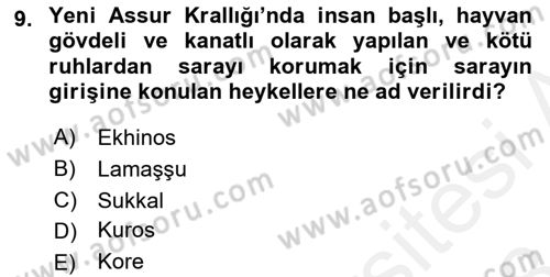 Eski Mezopotamya ve Mısır Tarihi Dersi 2017 - 2018 Yılı (Final) Dönem Sonu Sınav Soruları 9. Soru