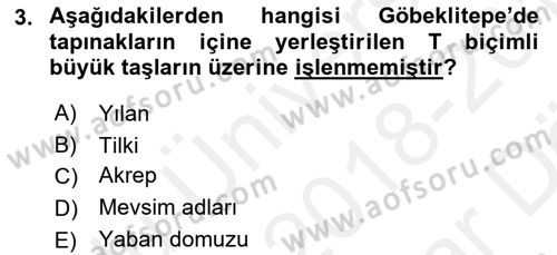 Eski Mezopotamya ve Mısır Tarihi Dersi 2018 - 2019 Yılı (Vize) Ara Sınav Soruları 3. Soru