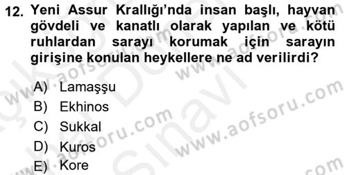 Eski Mezopotamya ve Mısır Tarihi Dersi 2018 - 2019 Yılı (Final) Dönem Sonu Sınav Soruları 12. Soru