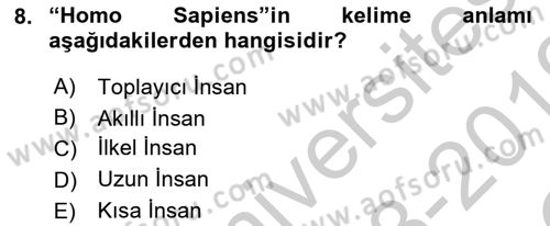 Eski Mezopotamya ve Mısır Tarihi Dersi 2018 - 2019 Yılı Yaz Okulu Sınav Soruları 8. Soru