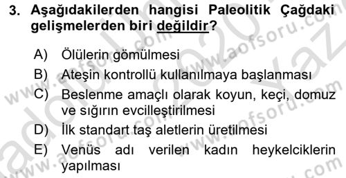 Eski Mezopotamya ve Mısır Tarihi Dersi 2020 - 2021 Yılı Yaz Okulu Sınav Soruları 3. Soru
