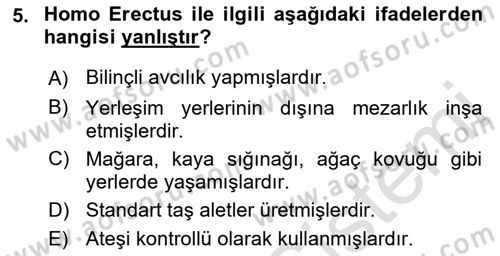 Eski Mezopotamya ve Mısır Tarihi Dersi 2021 - 2022 Yılı (Vize) Ara Sınav Soruları 5. Soru