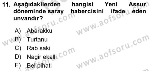 Eski Mezopotamya ve Mısır Tarihi Dersi 2021 - 2022 Yılı (Final) Dönem Sonu Sınav Soruları 11. Soru