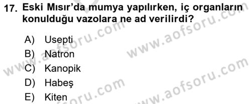 Eski Mezopotamya ve Mısır Tarihi Dersi 2021 - 2022 Yılı (Final) Dönem Sonu Sınav Soruları 17. Soru