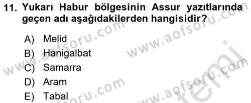 Eski Mezopotamya ve Mısır Tarihi Dersi 2021 - 2022 Yılı Yaz Okulu Sınav Soruları 11. Soru