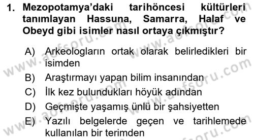 Eski Mezopotamya ve Mısır Tarihi Dersi 2022 - 2023 Yılı Yaz Okulu Sınavı 1. Soru