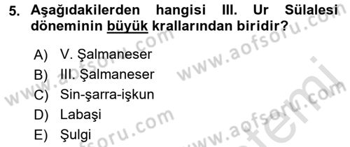 Eski Mezopotamya ve Mısır Tarihi Dersi 2022 - 2023 Yılı Yaz Okulu Sınav Soruları 5. Soru