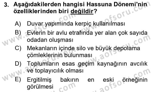 Eski Mezopotamya ve Mısır Tarihi Dersi 2023 - 2024 Yılı (Vize) Ara Sınav Soruları 3. Soru
