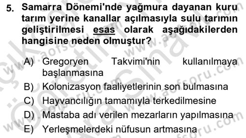Eski Mezopotamya ve Mısır Tarihi Dersi 2023 - 2024 Yılı (Vize) Ara Sınav Soruları 5. Soru