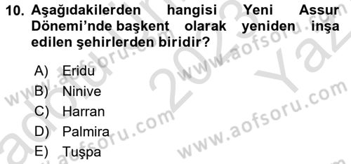 Eski Mezopotamya ve Mısır Tarihi Dersi 2023 - 2024 Yılı Yaz Okulu Sınav Soruları 10. Soru