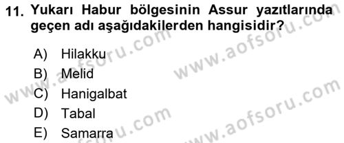 Eski Mezopotamya ve Mısır Tarihi Dersi 2023 - 2024 Yılı Yaz Okulu Sınav Soruları 11. Soru