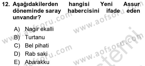 Eski Mezopotamya ve Mısır Tarihi Dersi 2023 - 2024 Yılı Yaz Okulu Sınav Soruları 12. Soru