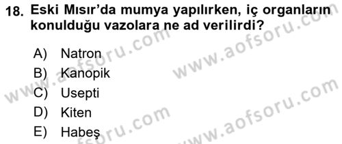 Eski Mezopotamya ve Mısır Tarihi Dersi 2023 - 2024 Yılı Yaz Okulu Sınav Soruları 18. Soru