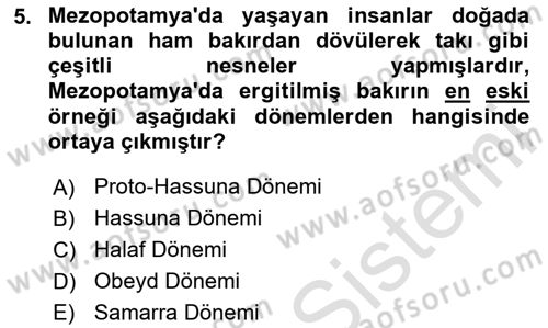 Eski Mezopotamya ve Mısır Tarihi Dersi 2023 - 2024 Yılı Yaz Okulu Sınav Soruları 5. Soru
