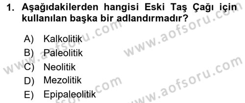Eski Mezopotamya ve Mısır Tarihi Dersi 2024 - 2025 Yılı (Vize) Ara Sınav Soruları 1. Soru