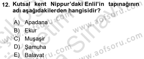 Eski Mezopotamya ve Mısır Tarihi Dersi 2024 - 2025 Yılı (Vize) Ara Sınav Soruları 12. Soru