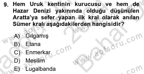 Eski Mezopotamya ve Mısır Tarihi Dersi 2024 - 2025 Yılı (Vize) Ara Sınav Soruları 9. Soru