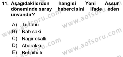 Eski Mezopotamya ve Mısır Tarihi Dersi 2024 - 2025 Yılı (Final) Dönem Sonu Sınav Soruları 11. Soru