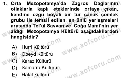 Eski Mezopotamya ve Mısır Tarihi Dersi 2024 - 2025 Yılı Yaz Okulu Sınav Soruları 1. Soru
