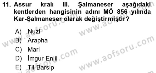 Eski Mezopotamya ve Mısır Tarihi Dersi 2024 - 2025 Yılı Yaz Okulu Sınav Soruları 11. Soru