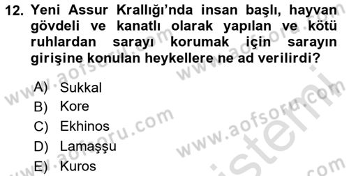 Eski Mezopotamya ve Mısır Tarihi Dersi 2024 - 2025 Yılı Yaz Okulu Sınav Soruları 12. Soru