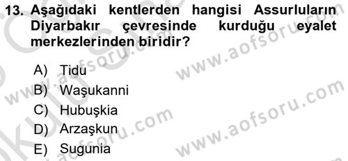 Eski Mezopotamya ve Mısır Tarihi Dersi 2024 - 2025 Yılı Yaz Okulu Sınav Soruları 13. Soru
