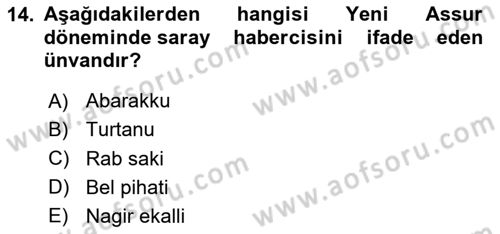 Eski Mezopotamya ve Mısır Tarihi Dersi 2024 - 2025 Yılı Yaz Okulu Sınav Soruları 14. Soru