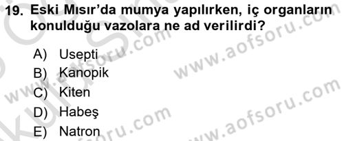 Eski Mezopotamya ve Mısır Tarihi Dersi 2024 - 2025 Yılı Yaz Okulu Sınav Soruları 19. Soru