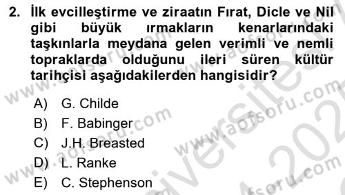 Eski Mezopotamya ve Mısır Tarihi Dersi 2024 - 2025 Yılı Yaz Okulu Sınav Soruları 2. Soru
