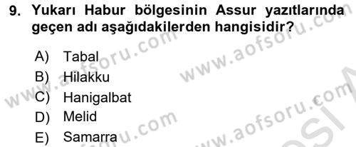 Eski Mezopotamya ve Mısır Tarihi Dersi 2024 - 2025 Yılı Yaz Okulu Sınav Soruları 9. Soru