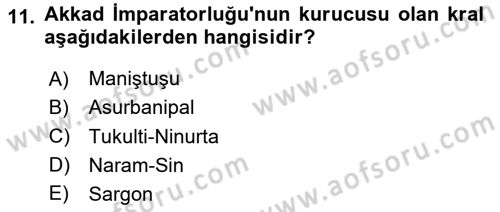 Eski Mezopotamya ve Mısır Tarihi Dersi 2025 - 2026 Yılı (Vize) Ara Sınav Soruları 11. Soru