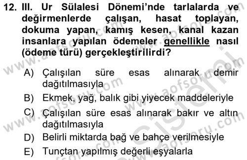 Eski Mezopotamya ve Mısır Tarihi Dersi 2025 - 2026 Yılı (Vize) Ara Sınav Soruları 12. Soru