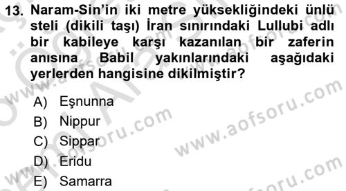 Eski Mezopotamya ve Mısır Tarihi Dersi 2025 - 2026 Yılı (Vize) Ara Sınav Soruları 13. Soru