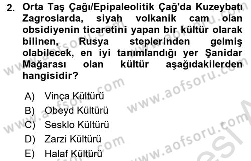 Eski Mezopotamya ve Mısır Tarihi Dersi 2025 - 2026 Yılı (Vize) Ara Sınav Soruları 2. Soru