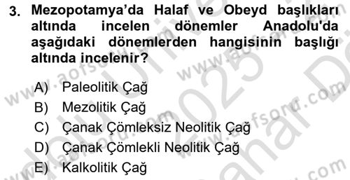 Eski Mezopotamya ve Mısır Tarihi Dersi 2025 - 2026 Yılı (Vize) Ara Sınav Soruları 3. Soru